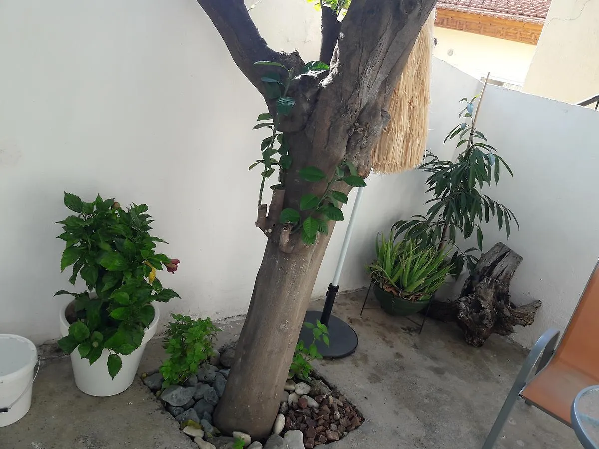 Accommodatie bij particulieren Marina'S Rooms Xrisopolitissa Larnaca Cyprus